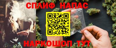 СК Тара