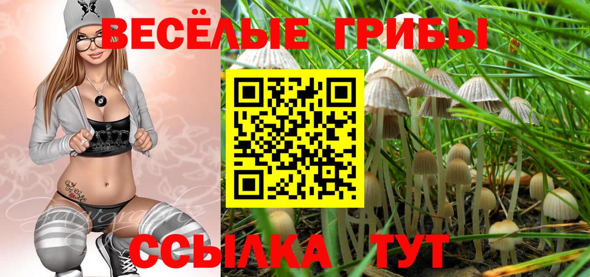 Псилоцибиновые грибы Psilocybine cubensis Новошахтинск