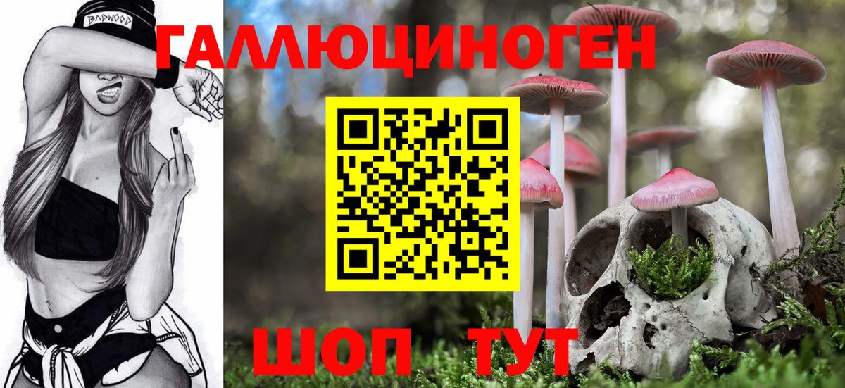 Псилоцибиновые грибы Magic Shrooms  Галлюциногенные грибы прущие грибы  где купить наркоту  Вход с VPN  Новошахтинск 